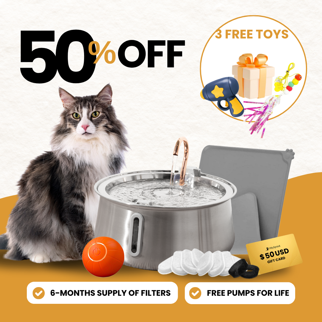 Hydration & Playtime Value Bundle
