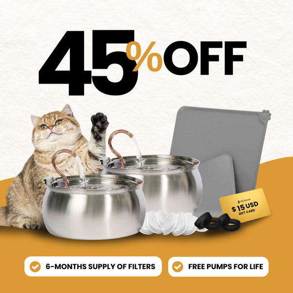 Big Cat Family Bundle