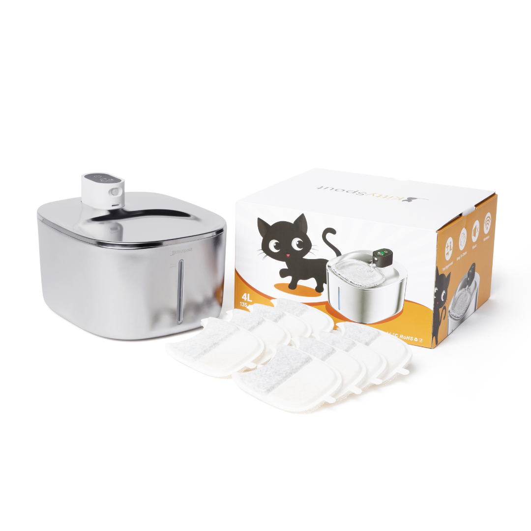 Wireless Big Cat Family Bundle
