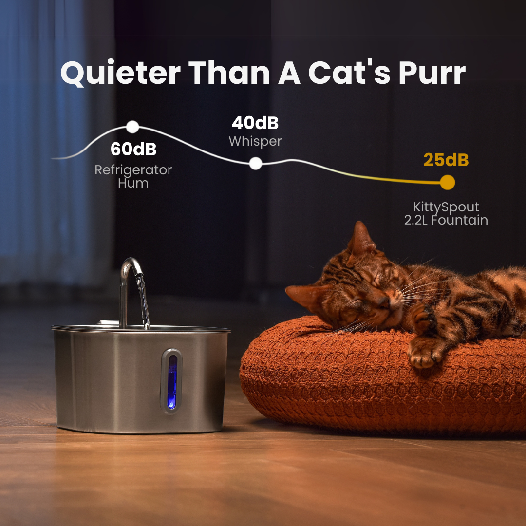 The KittySpout™ - 2.2L Purrrfect KittySpout Kit