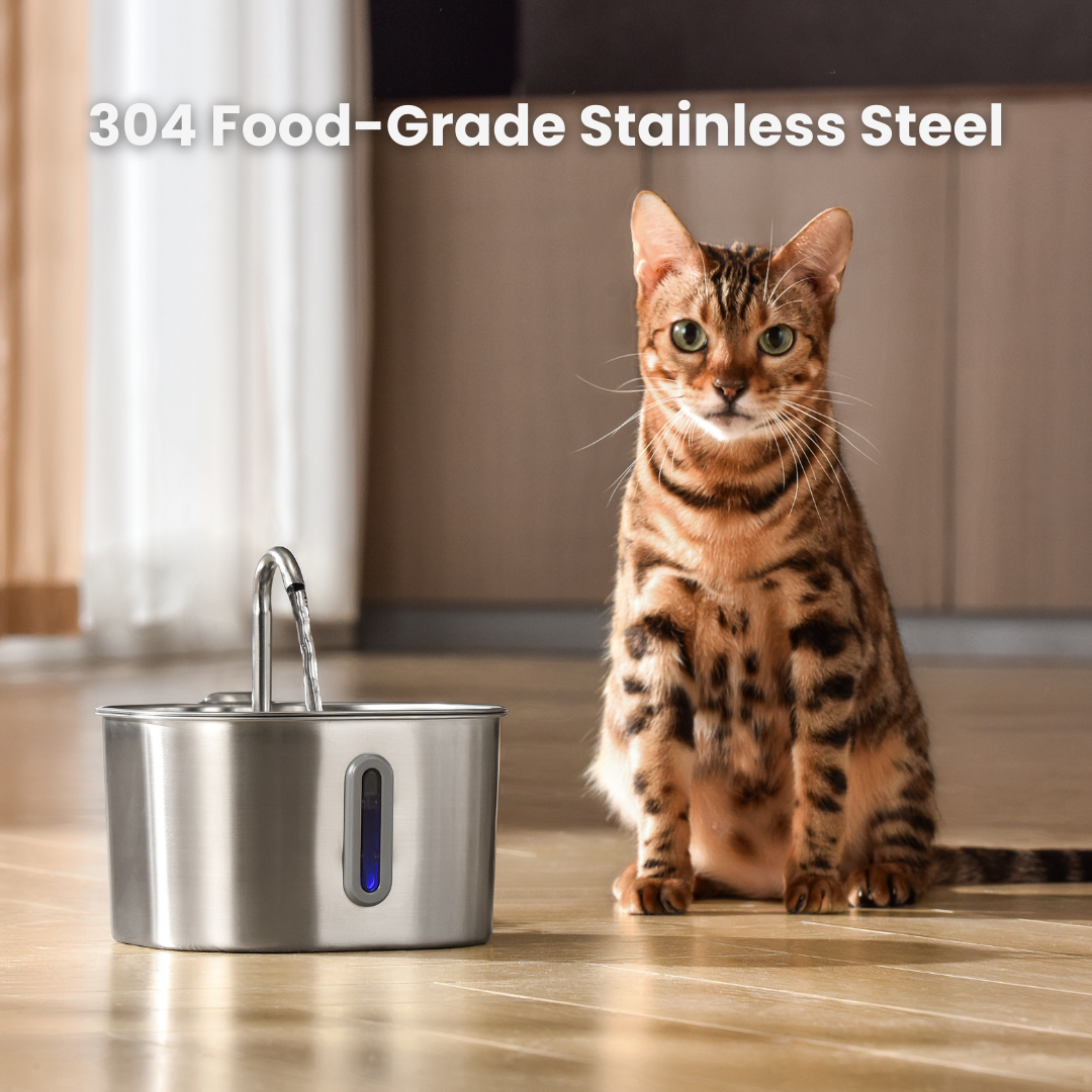 The KittySpout™ - 2.2L Hydration & Health Bundle