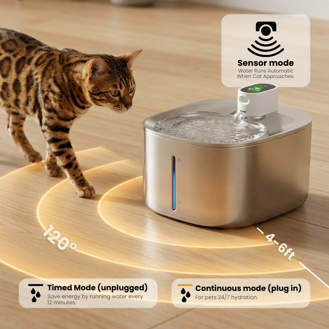 Wireless Hydration & Health Bundle