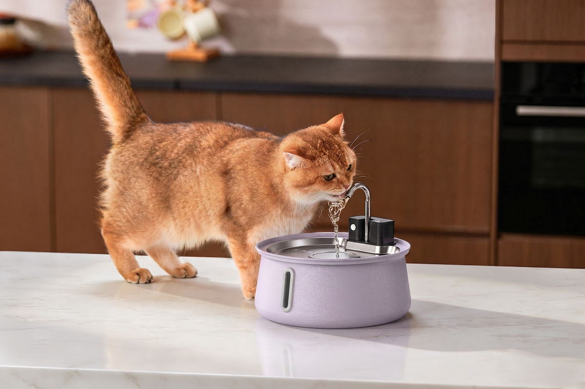 The KittySpout™ - Wireless Fountain 2.0
