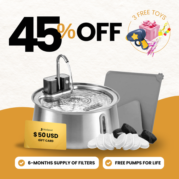 Wireless 2.0 KittySpout Value Bundle