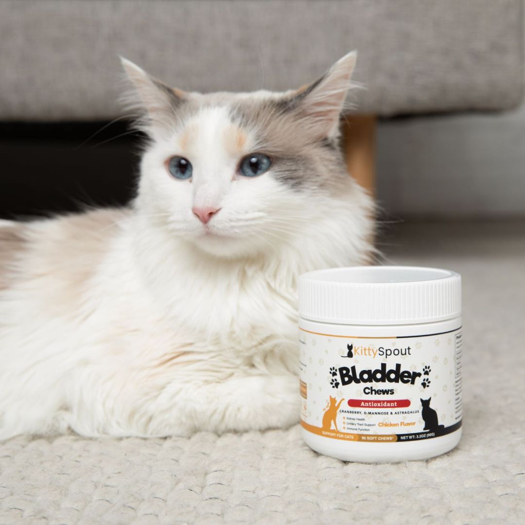 Bladder & Kidney Support Chews