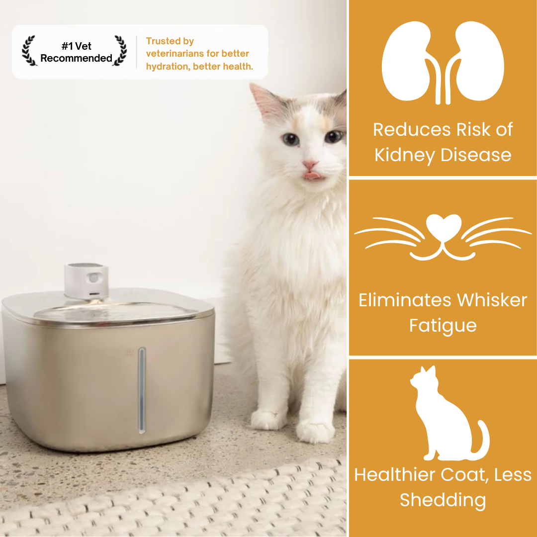 The KittySpout™ - Wireless Fountain